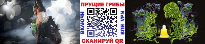 Галлюциногенные грибы ЛСД  Дмитриев 